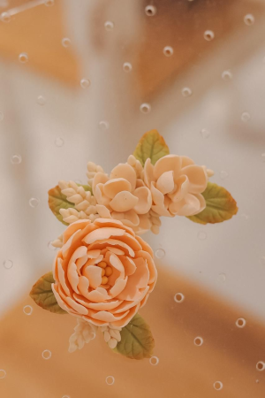 Tapa Erva Biscuit- flores